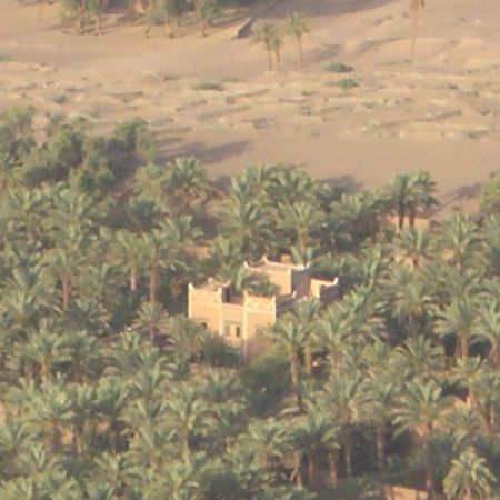 Dar Nekhla Acomodação com café da manhã Zagora Exterior foto