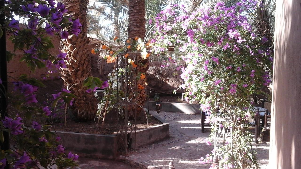 Dar Nekhla Acomodação com café da manhã Zagora Exterior foto