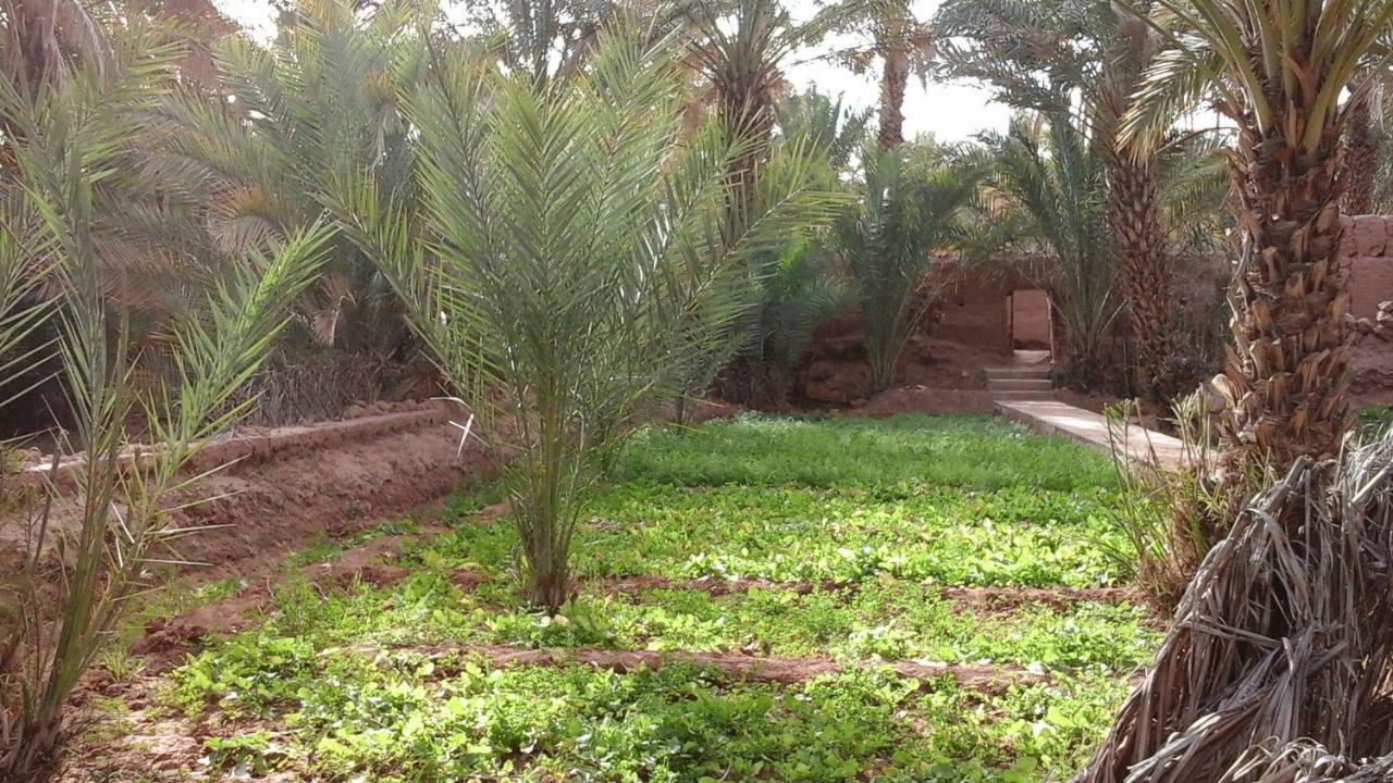 Dar Nekhla Acomodação com café da manhã Zagora Exterior foto