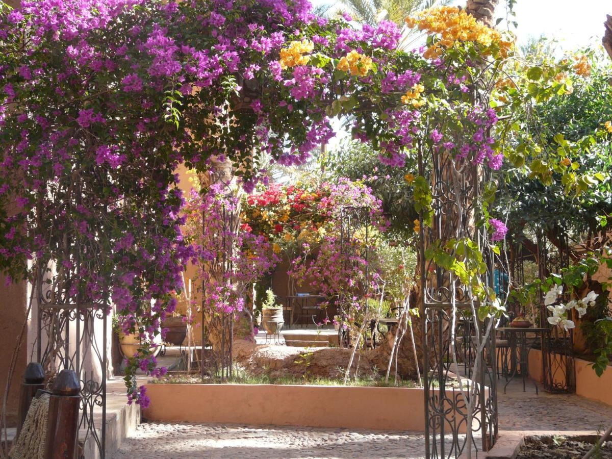 Dar Nekhla Acomodação com café da manhã Zagora Exterior foto