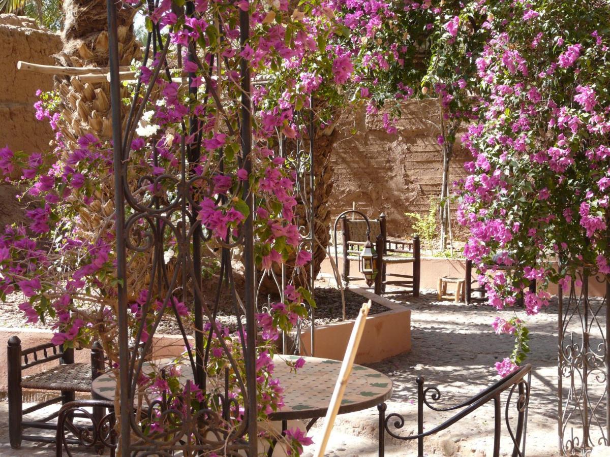 Dar Nekhla Acomodação com café da manhã Zagora Exterior foto